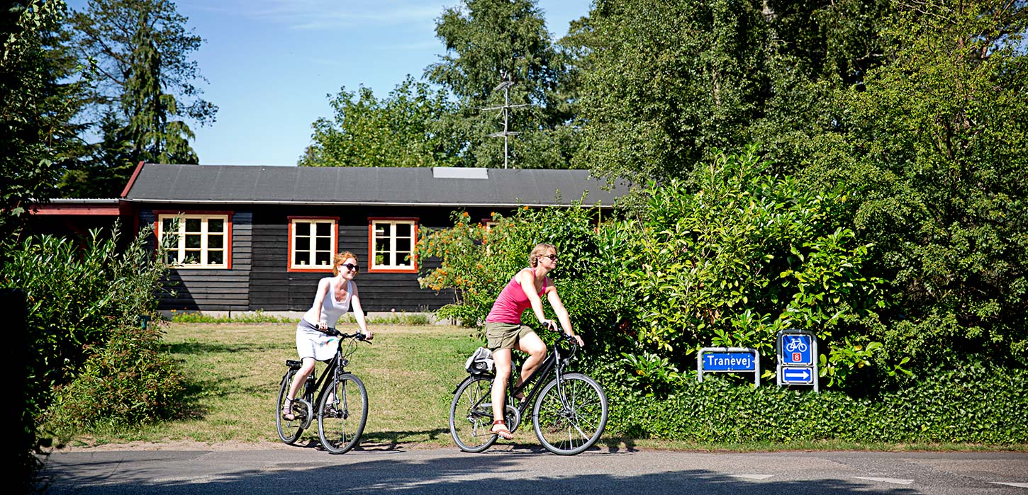 Nyborg Fyn Danmark Sommerhus Cyklister