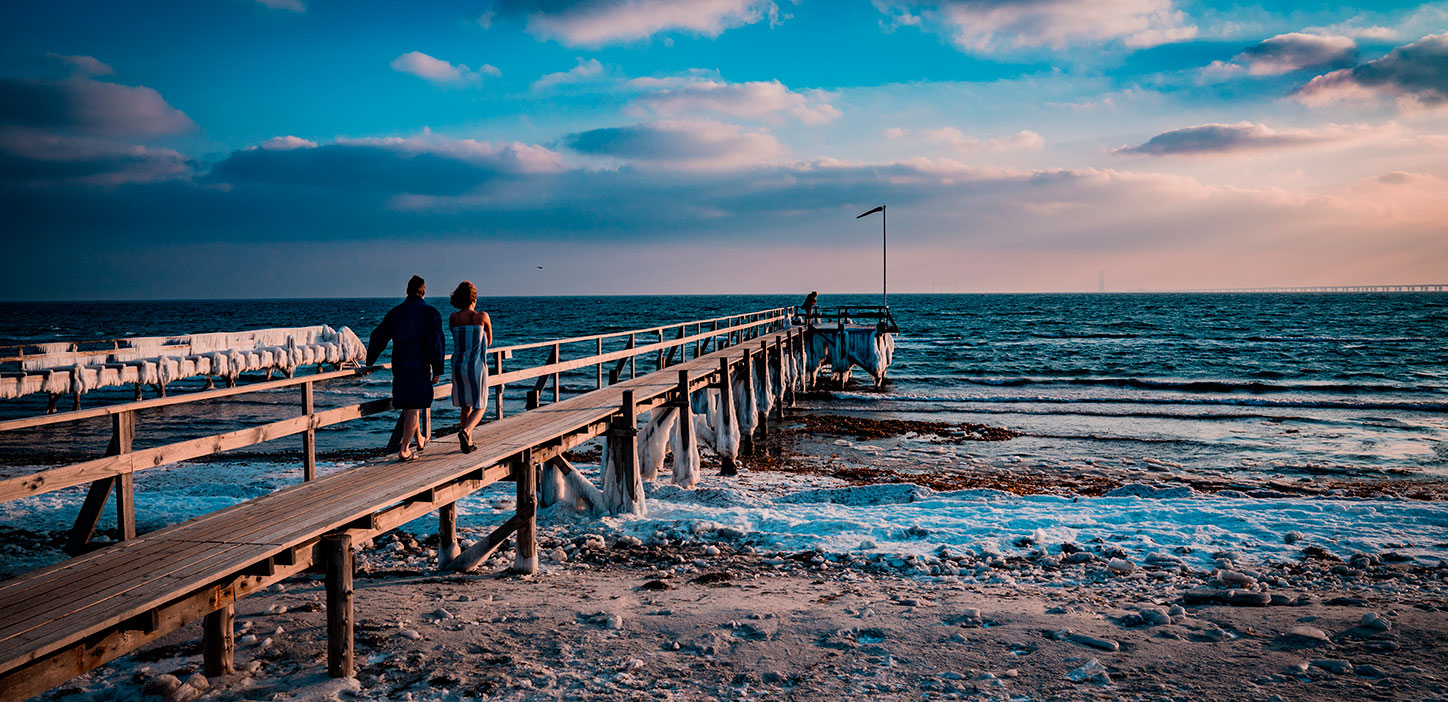 Nybog Fyn Danmark Efterår Vinterbadning