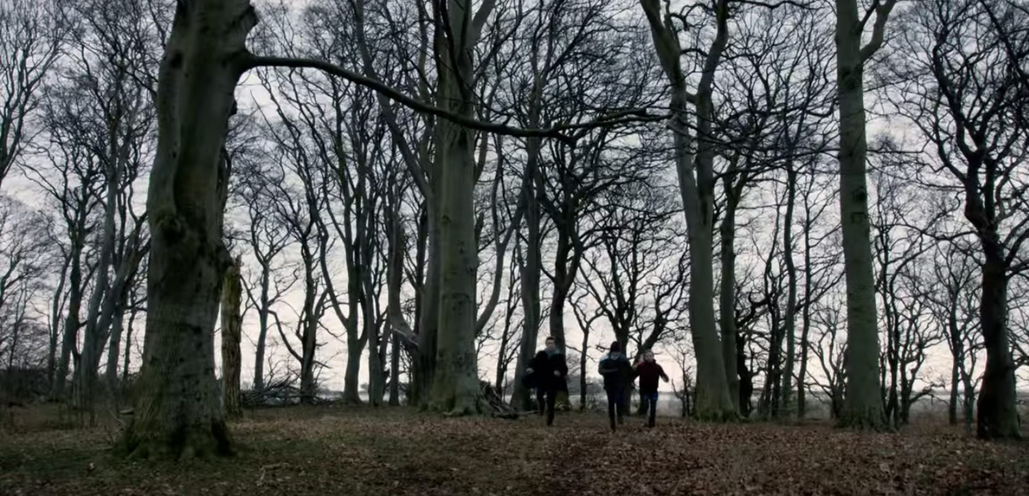 Juleønsket - skoven ved slipshavn