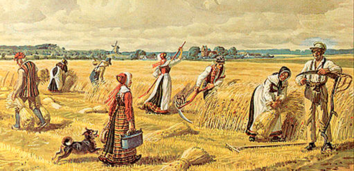 Korthøst illustration af Rasmus Christiansen