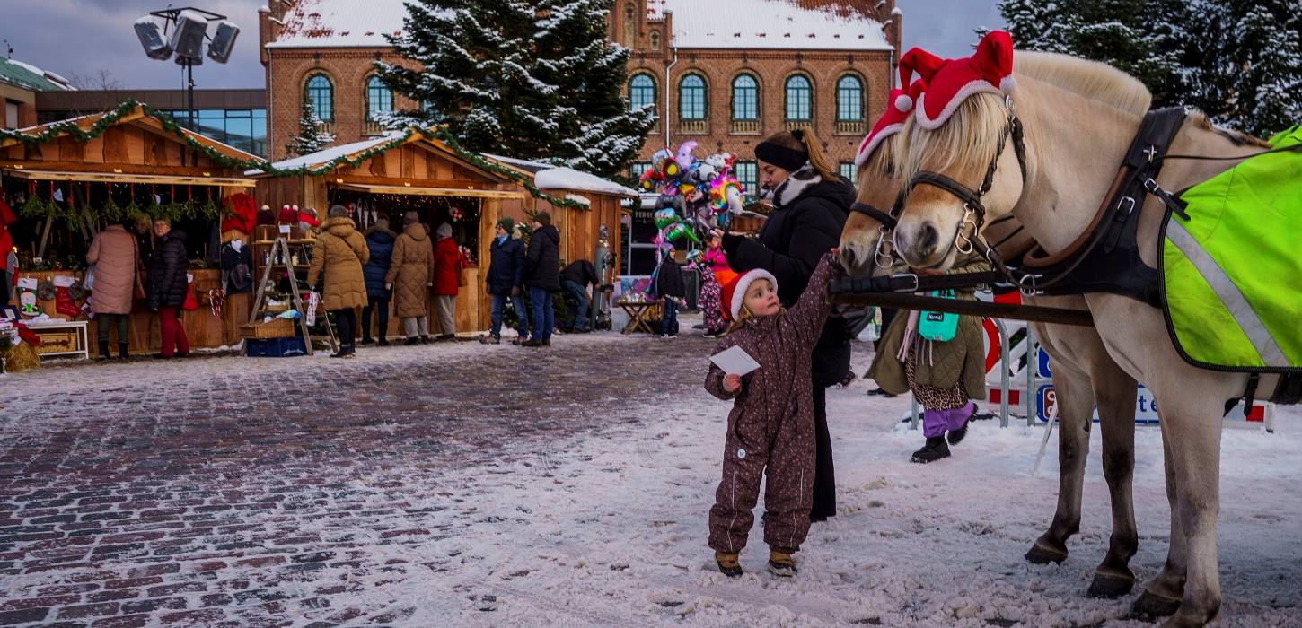 Barn klapper lige hesten til julemarkedet i den gamle kongeby Nyborg