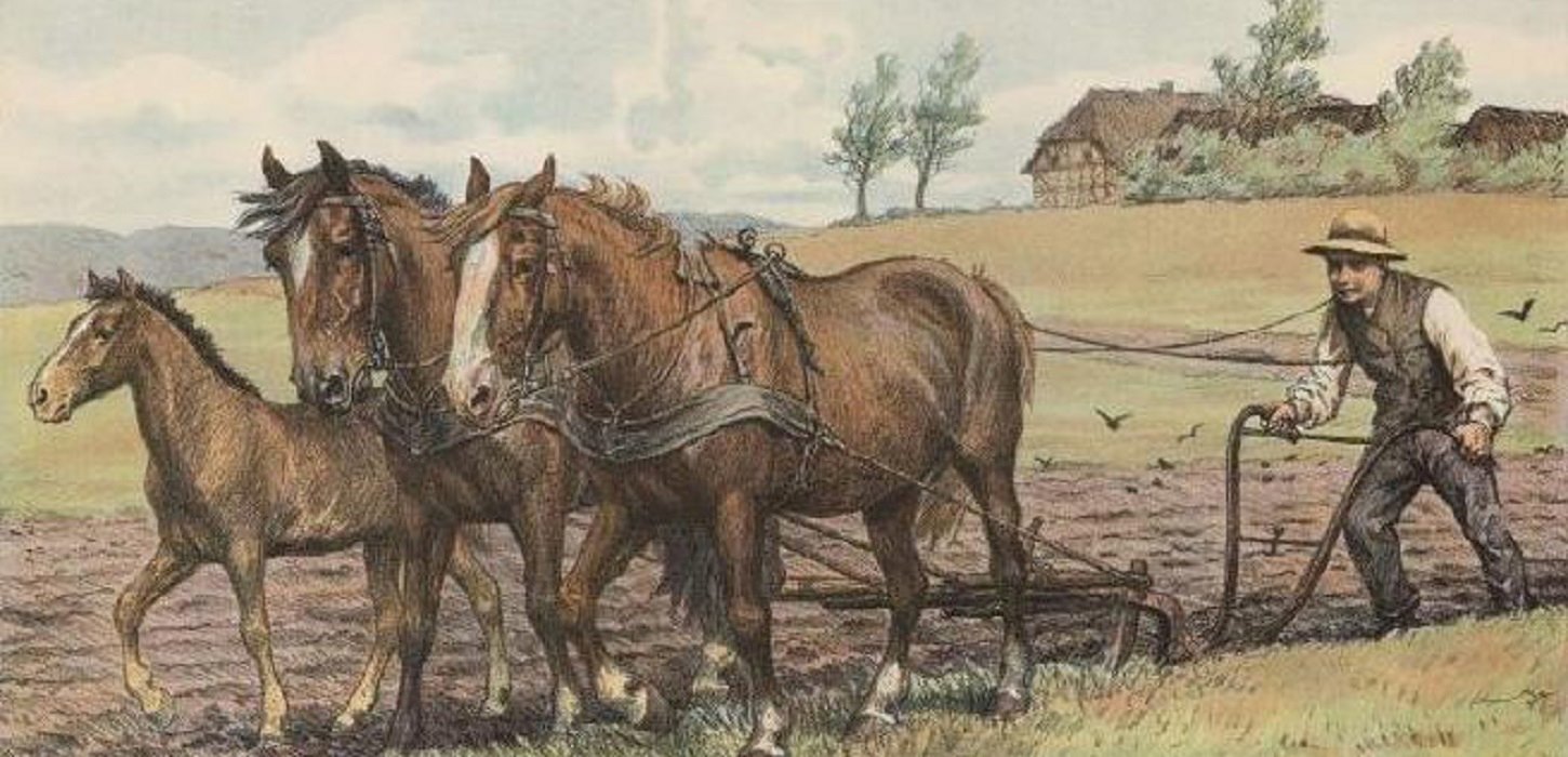 Ørbækstenen blev sprængt væk, så jorden kunne dyrkes