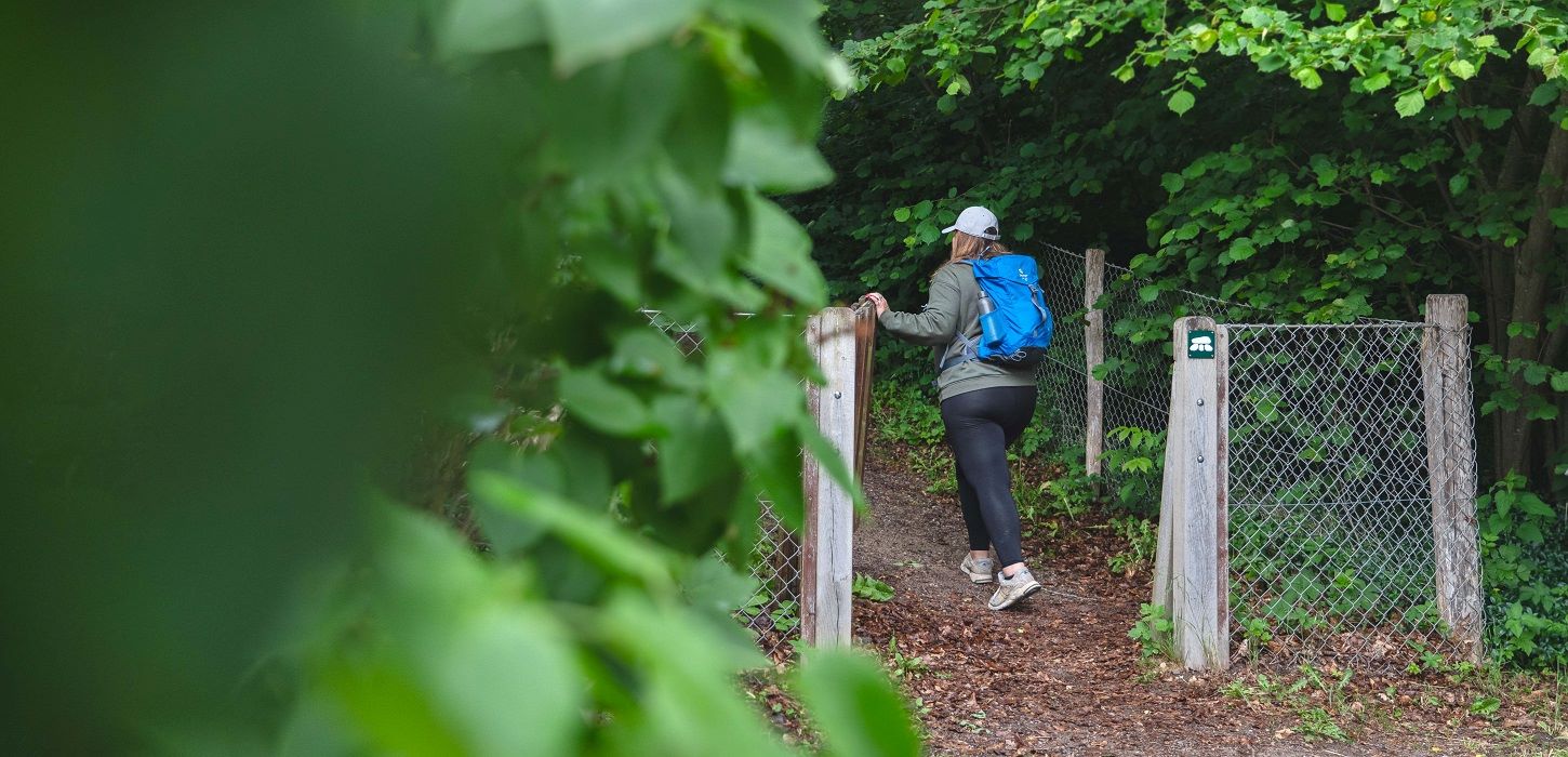 En vandrer går op til jættestuen ved Sulkendrup Mølle
