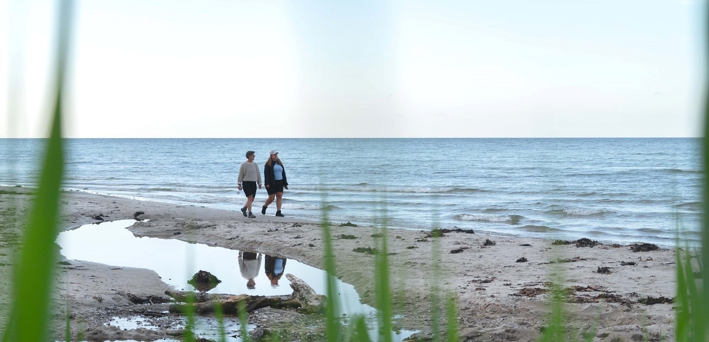 Gå tur langs Storebælt ved Teglværksskoven i Nyborg