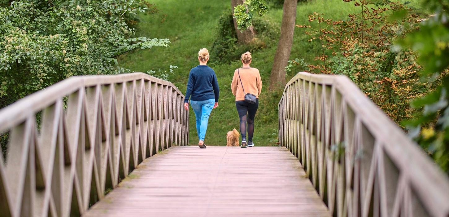 Lokale veninder går tur ved Ladegårdsskoven tæt på Nyborg Slot