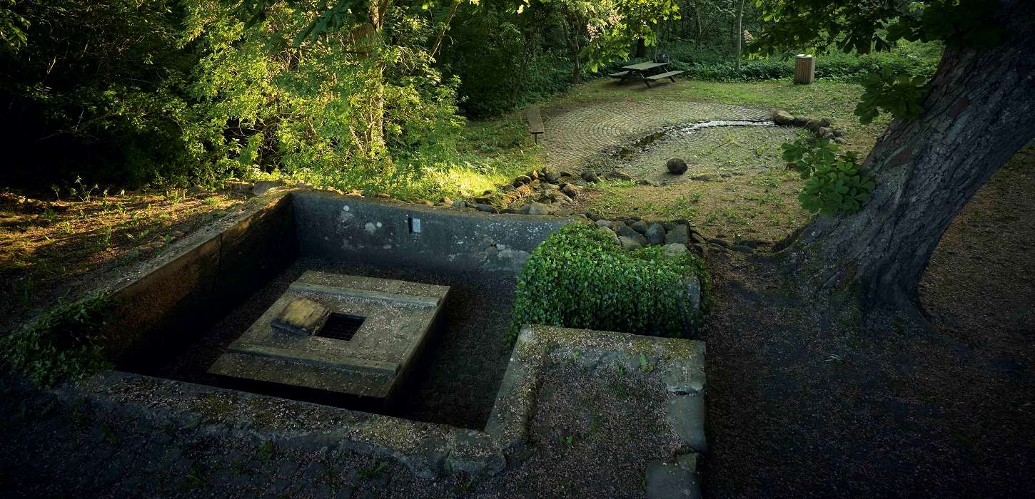 Regisse kilde er en hellig kilde, der ligger ved Frørup tæt på Nyborg