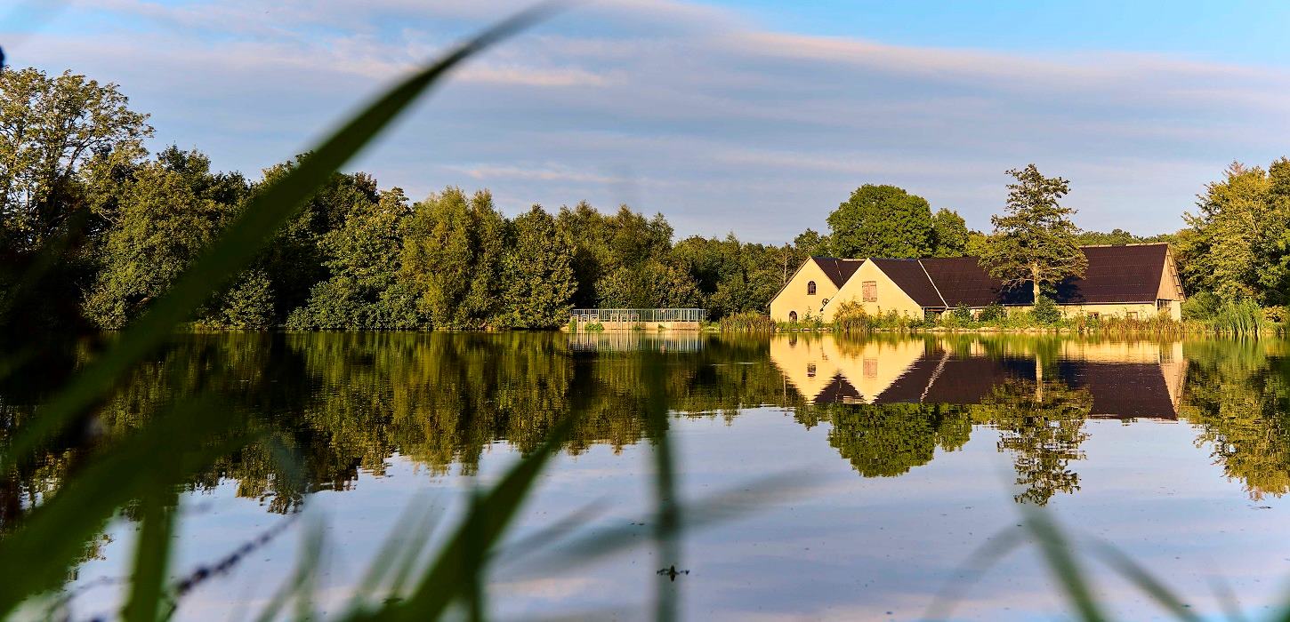 Kongshøj Mølle spejler i søen i Øksendrup Sogn i Nyborg, Fyn