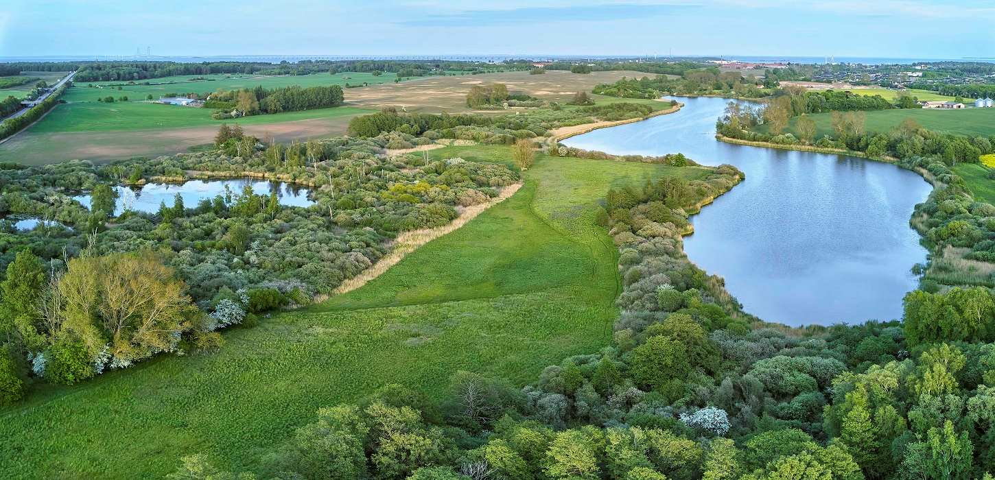 Gå en tur ved Hjulby Mose i Hjulby sogn i Nyborg, Fyn