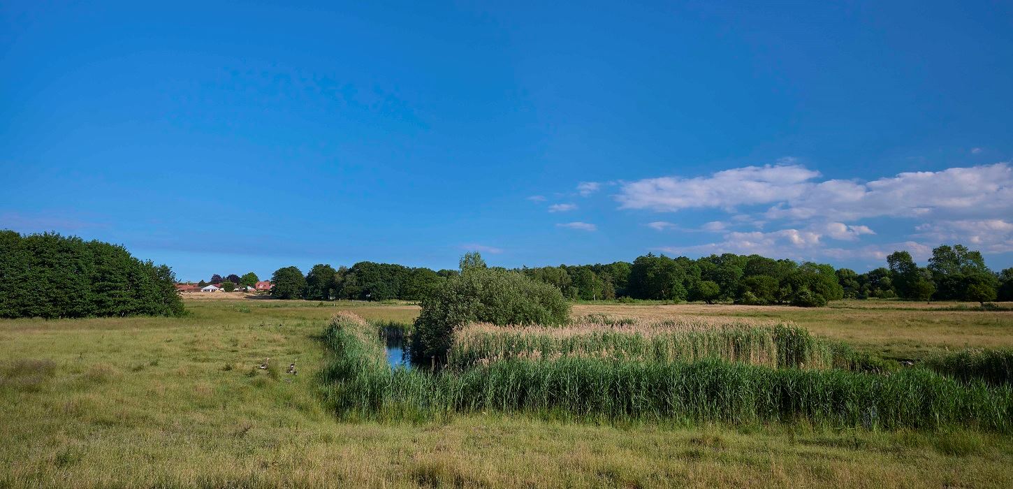 Gå en tur rundt om Bondemosen i Ullerslev ved Nyborg, Fyn