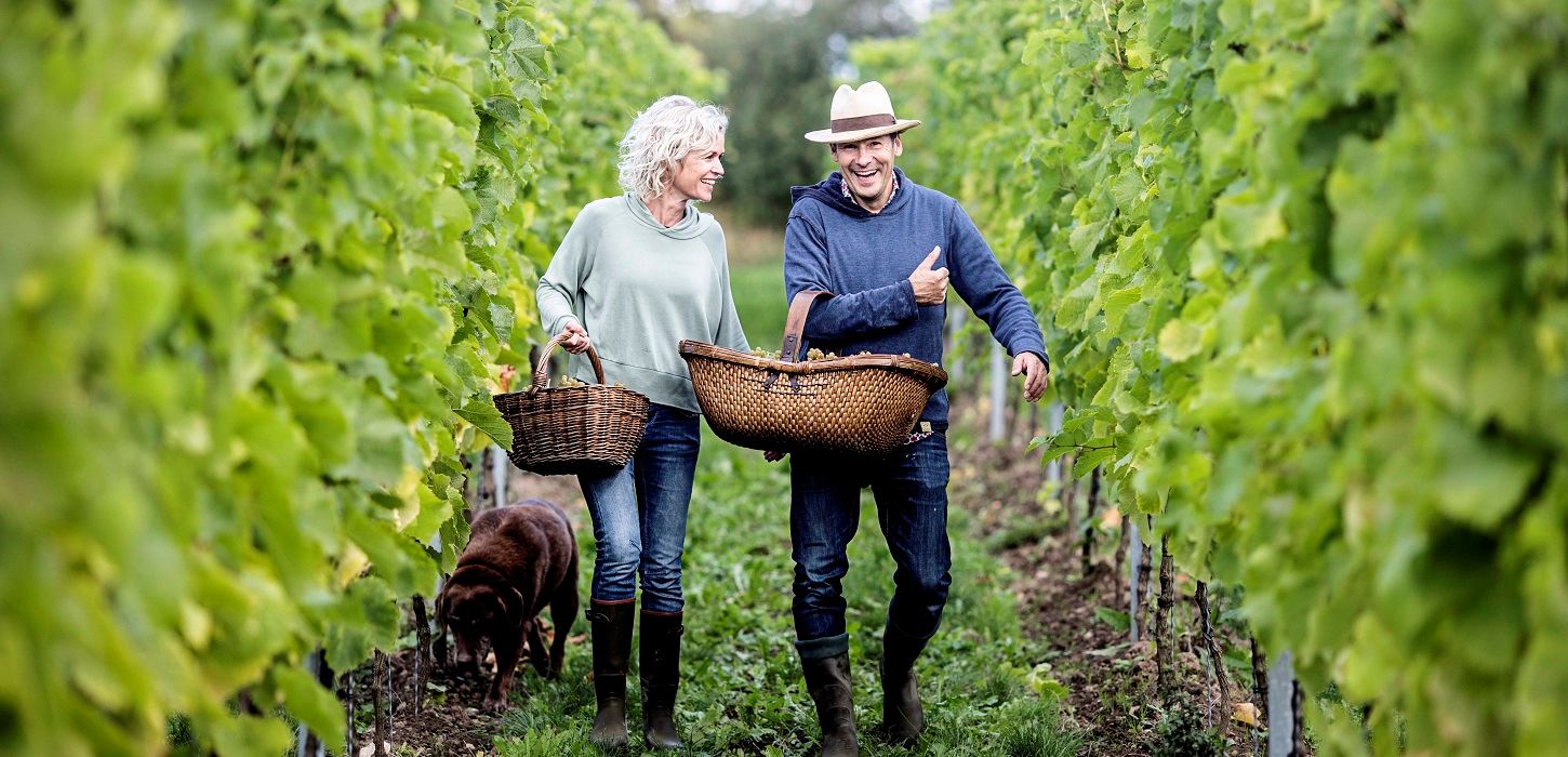 Tag forbi vingården Stokkebye i Bovense sogn i Nyborg, Fyn