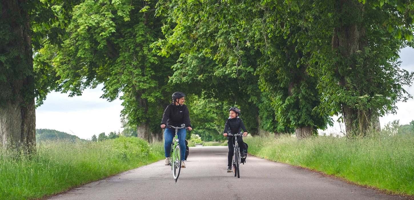Tag cyklen forbi Ravnholt Gods og nyd kastanjealléen i Herrested Måre sogn i Nyborg, Fyn