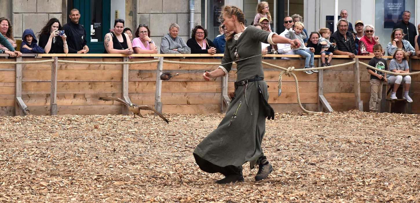 Imponerende falkonershow til Danehof 2025